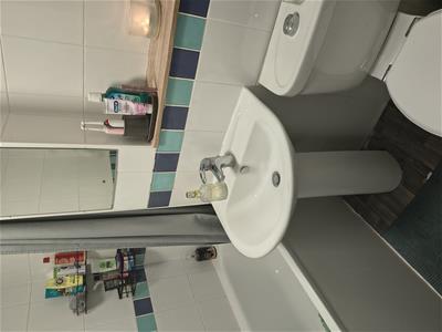 Picture 10